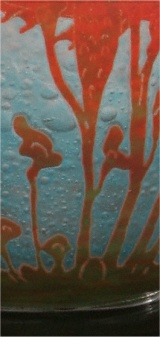 Exposition Conches Schneider Vase Poissons_2